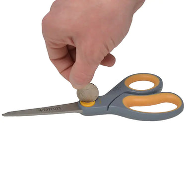 Westcott Titanium Bonded 8